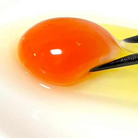 【横須賀】旨い・濃い・贅沢!平飼い卵「姫様のたまご」で味わう究極のTKG|岩沢ポートリー